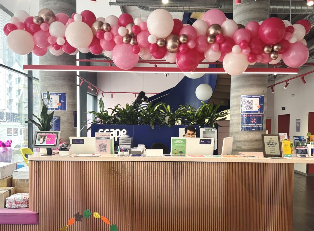 balloon garland