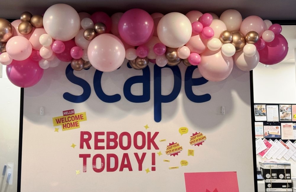 balloon garland