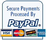 Secure online payments with paypal